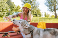¿Es recomendable dar agua fría a los perros? Expertos explican los beneficios y precauciones
