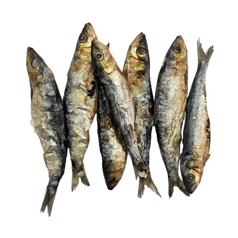 Sardina Premium del Atlántico - Snack pet
